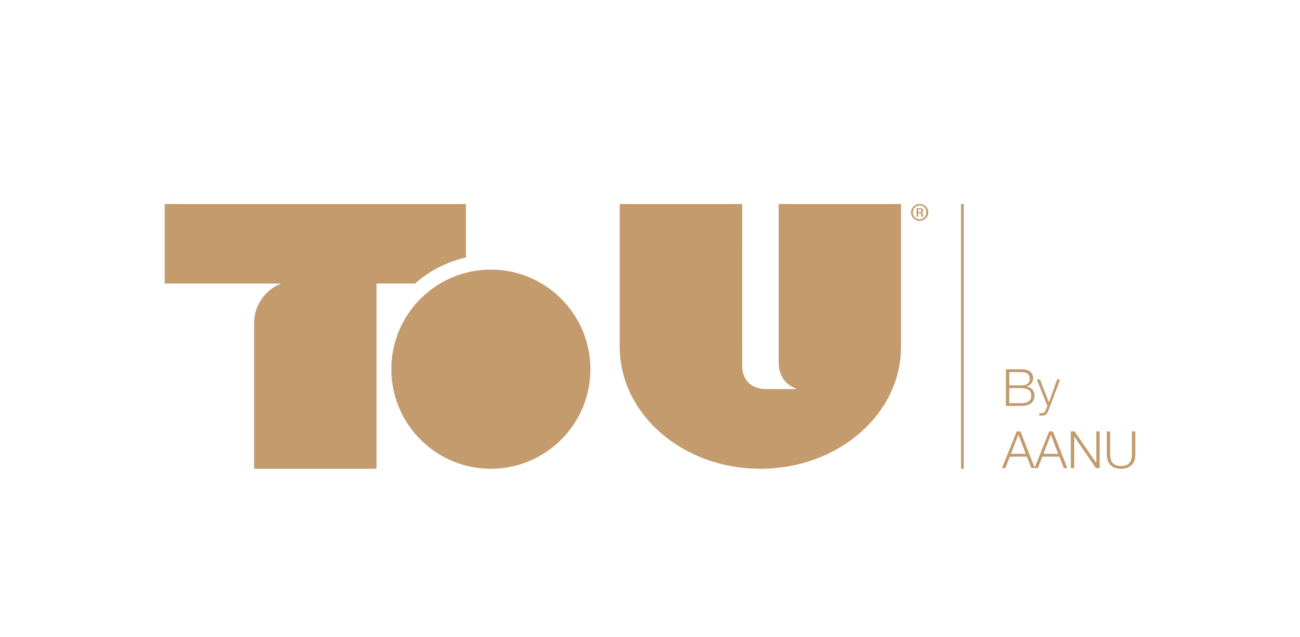toyoustores-logo